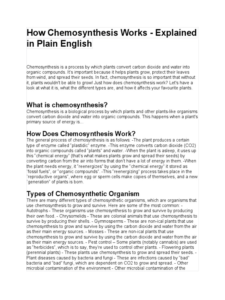 How Chemosynthesis Works PDF Plants Fertilizer