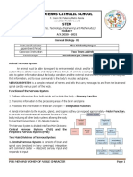 Animal Nervous System&Endocrine System