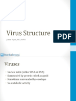 VirusStructure 1