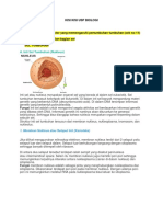 Kisi Kisi Usp Biologi 21-30