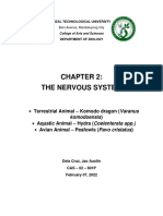 Chapter 2 - Nervous System - Dela Cruz, Jao Austin, A.