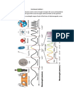 Em Waves Activity