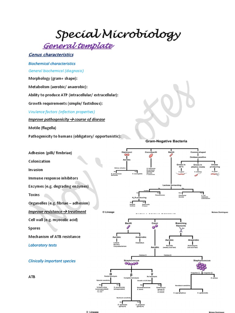 Special Microbiology | PDF | Tuberculosis | Streptococcus