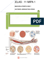 LKPD Jaringan Hewan IPA