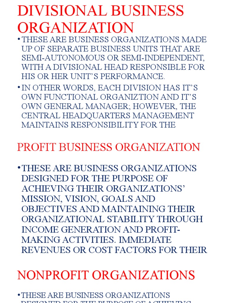 Divisional Business Organization PDF