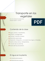 Transporte Vegetal