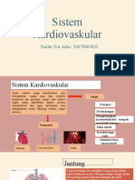 Sistem Kardiovaskular Yurida Nor A. 20070805022