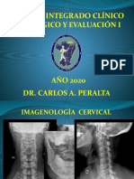 Columna Cervical