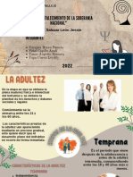 Infografía Sesión 13 (La Adultez)