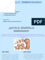 Desarrollo Embrionario