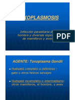 Toxoplasmosis