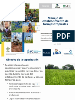 Taller Sobre Pastos Planificacion de Forrjaes - 0