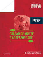PULSÃO_DE_MORTE_E_AGRESSIVIDADE_v22