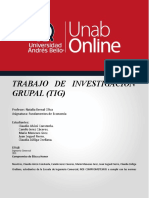 Trabajo de Investigación Grupal (Tig)-V2