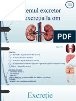 L 4.4. Sistemul Excretor 1