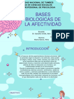 S16 ALAMA GARCIA ALMA BRIGITH. Bases Biologicas de La Afectividad