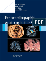 Echocardiographic Anatomy in The Fetus