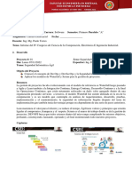 Informe Congreso Galarza Angel Software "B" Compressed