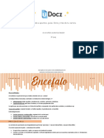 SN Encefalo Anatomia Latarjet 148400 Downloable 2068646