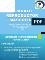 power ap rep masculino 2022