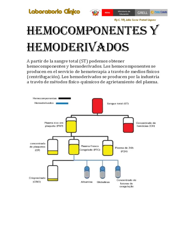 AA05 Hemocomponentes y Hemoderivados | PDF | Coagulación | Medicina CLINICA