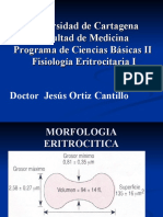 Fisiologia de Eritrocitos 2