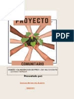 Proyecto Comunitario