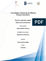 Desarrollo Profesional 2