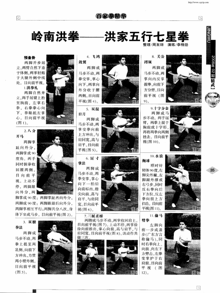 洪拳秘要（内部資料） 岭南洪拳洪家五行七星拳| PDF