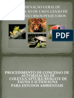 Autorização Coleta Fauna Estudos Ambientais