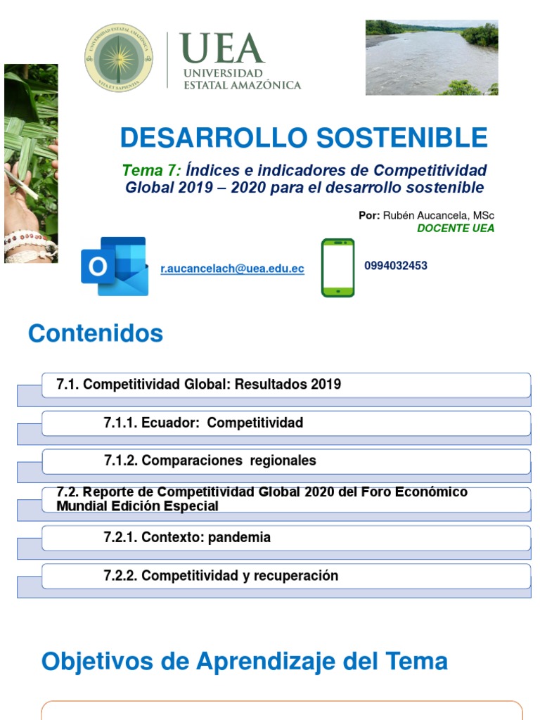 Tema 7 Índice e Indicadores de Competitividad Global | PDF | Negocios