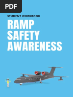 Airport Ramp Safety Guidelines | PDF | Occupational Safety And Health ...