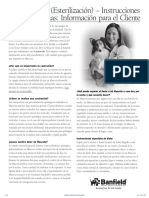 La Castracion Esterilization Instrucciones