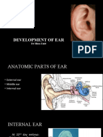 DEVELOPMENT OF THE EAR