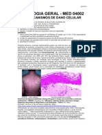 PATOLOGIA Estudos Dirigidos 2011-2