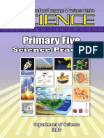 P5 Science Practical