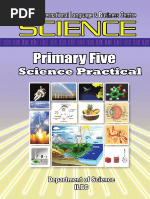 P5 Science Practical