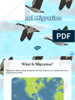 Au t2 T 48 Animal Migration Powerpoint Ver 2