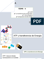 Bioq Tema 3 - ATP y Transferencia de Energia 2022-2