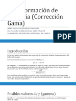 Correccion Gamma