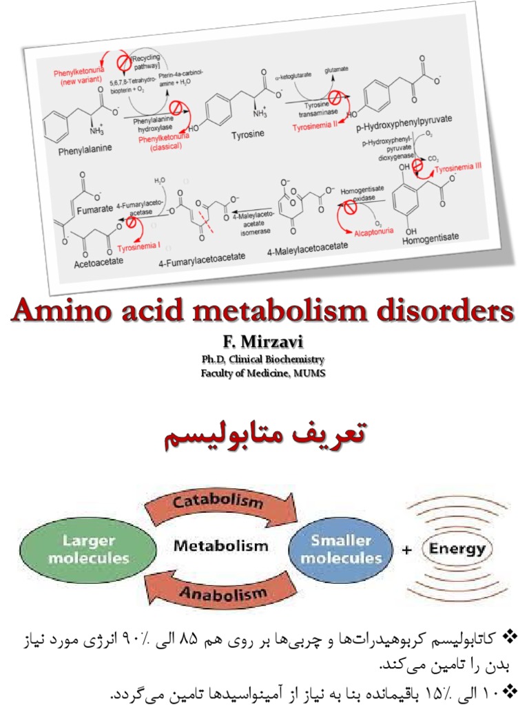 Amino Acid Metabolism Disorder PDF