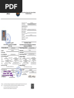Ye Nigid Fekad Form | PDF