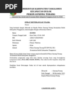 Contoh Formulir NIB Perorangan | PDF
