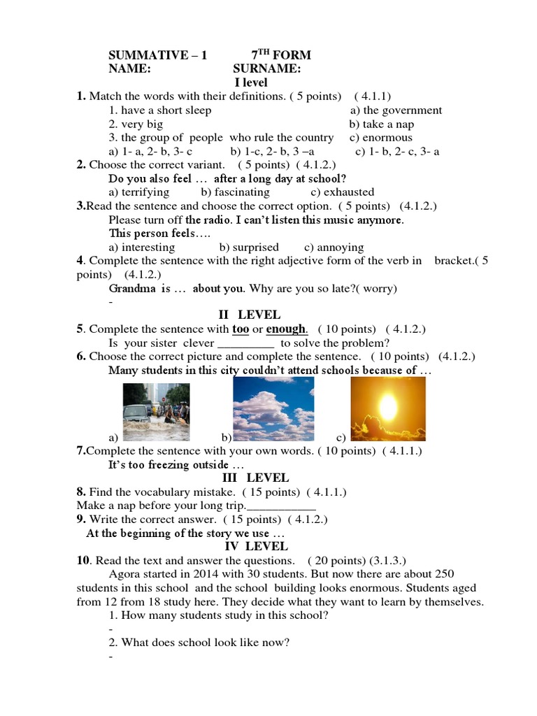 7th Form Summative Assessment Guide Pdf