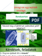 11.) A Sejtmagvas Egysejtűek