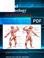 8 Muscular System Med Terminology