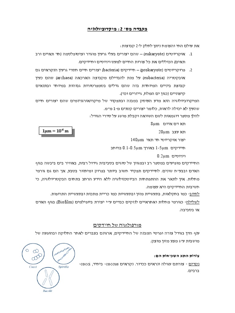 Lab 2 Microbiology Pdf