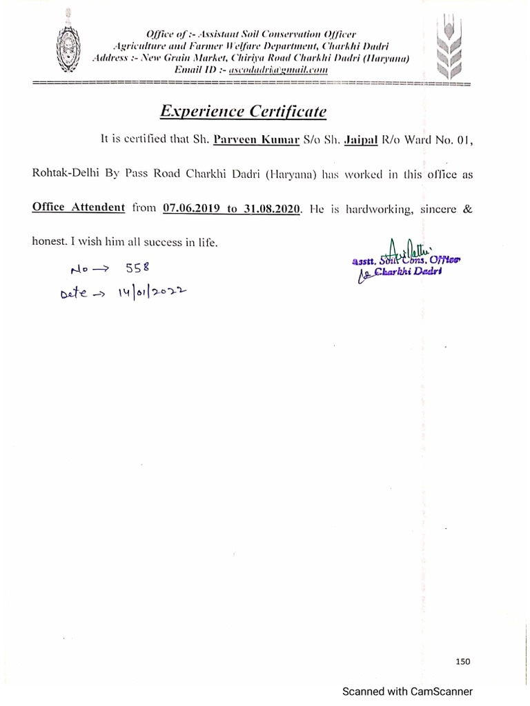 Parveen Experience Certificate | PDF