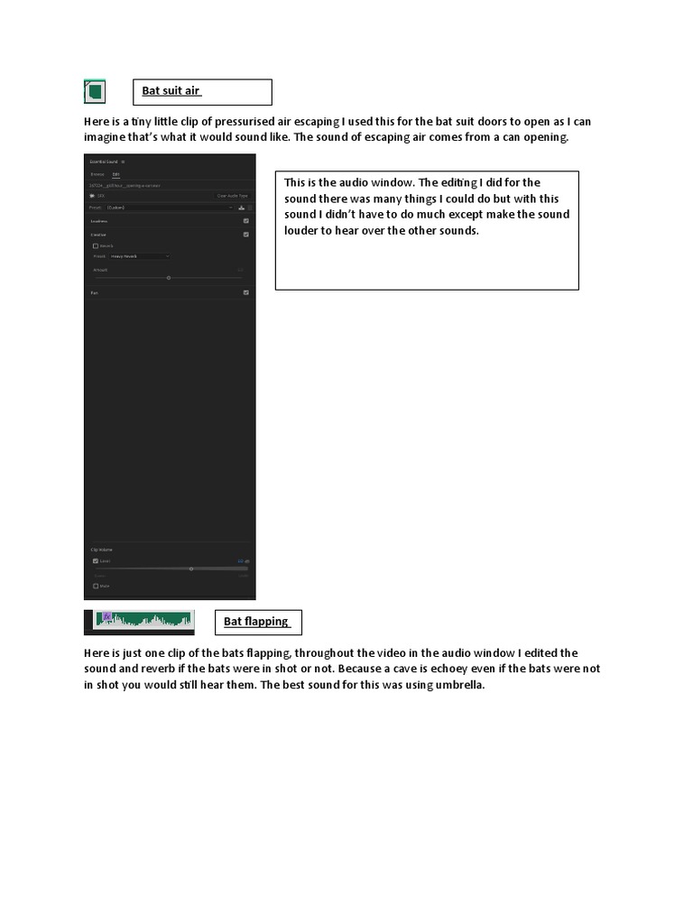 Snipping Tool PDF Sound