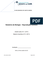 Relatório - Reprodução Humana - 12ºA